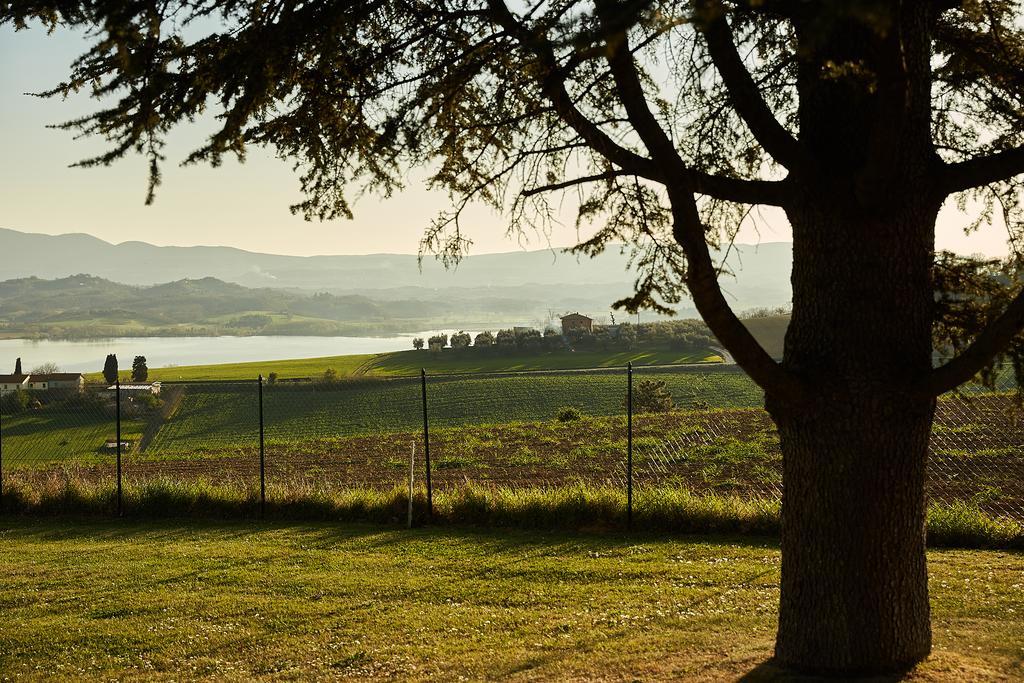 Podere Fontegallo Кастильоне-дель-Лаго Экстерьер фото