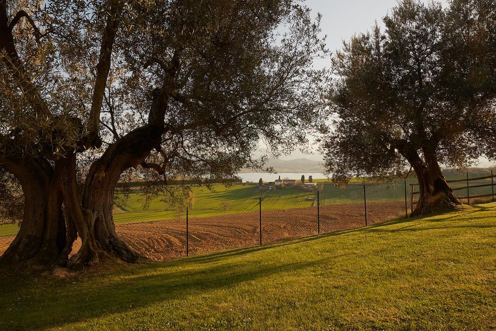 Podere Fontegallo Кастильоне-дель-Лаго Экстерьер фото