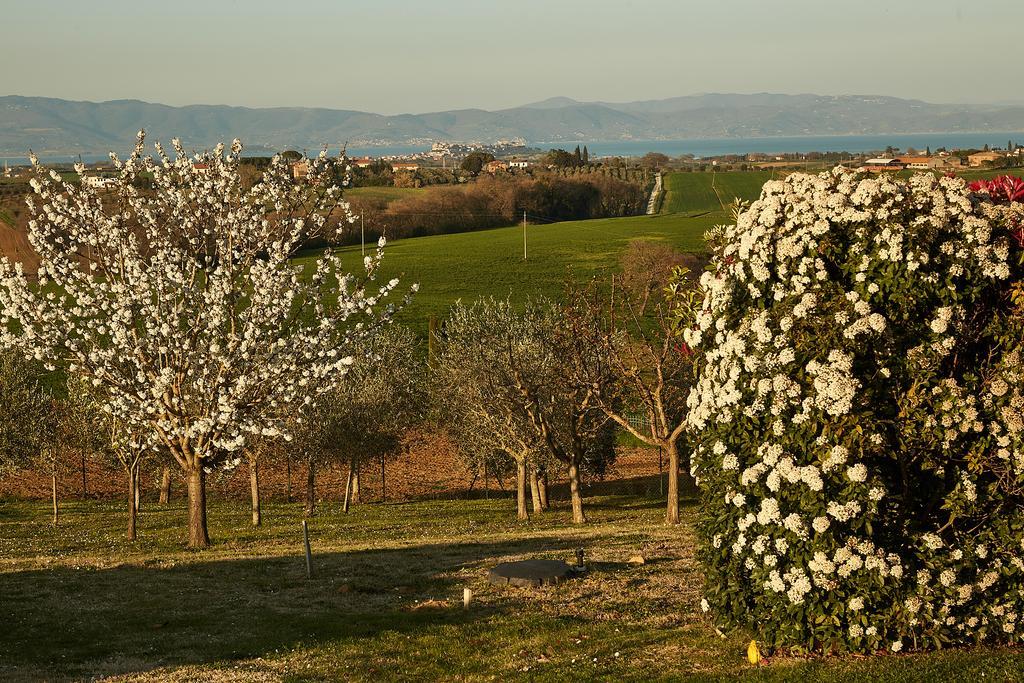 Podere Fontegallo Кастильоне-дель-Лаго Экстерьер фото