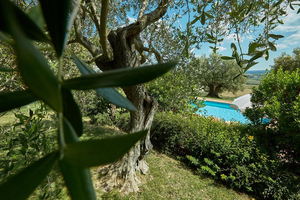 Podere Fontegallo Кастильоне-дель-Лаго Экстерьер фото